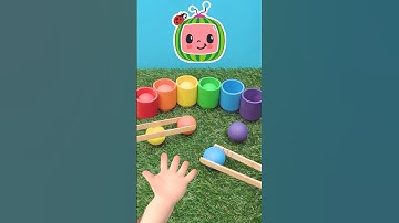 Put the Rainbow Balls into Cups! 🔵🟢🟡🟠🔴