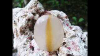 Mustika Sodo Lanang Ampuh
