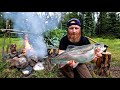 SURVIVAL SMOKING FISH in the Deep Canadian Wilderness - ASMR (Silent)
