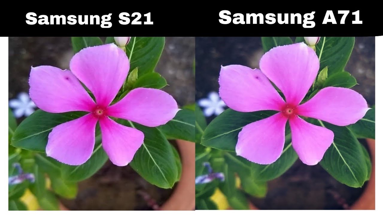 samsung galaxy s21 vs a71 YouTube