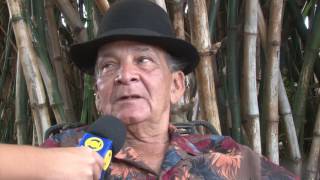 Como Vivem Os Ciganos