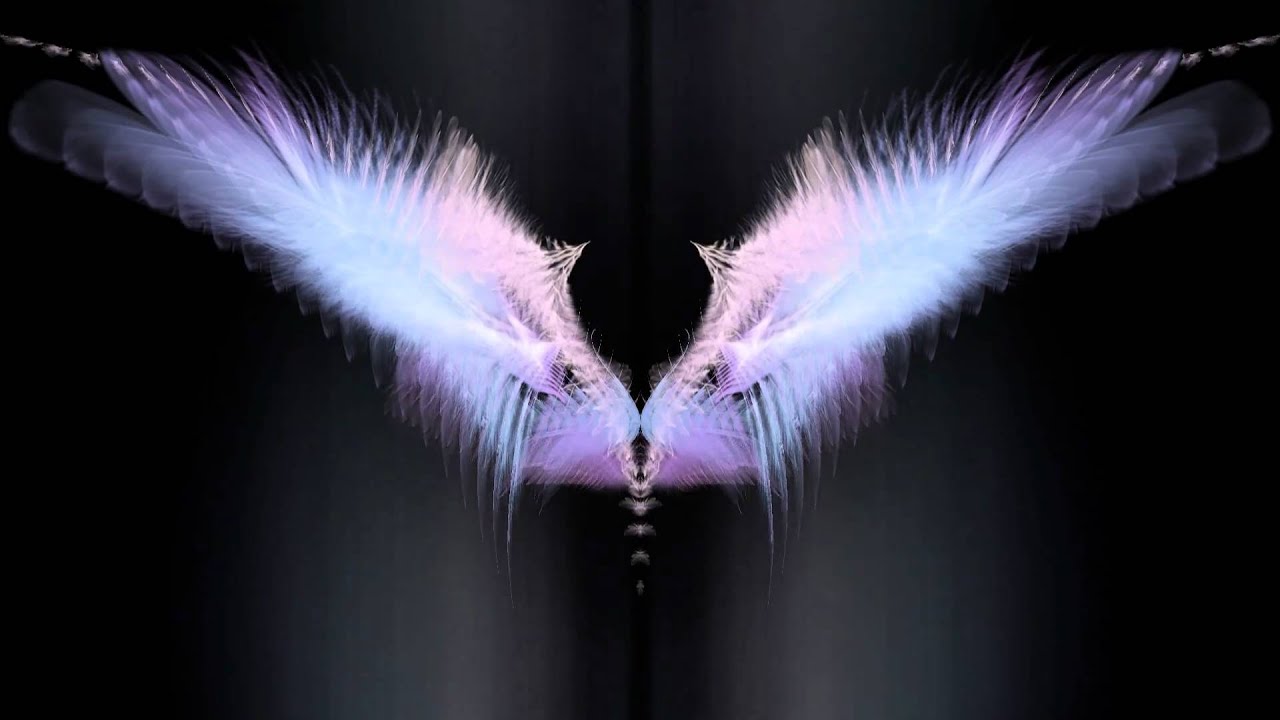 FreeForm Pro | Dreamcatcher | Powered By 3DNAE | Adobe After Effects