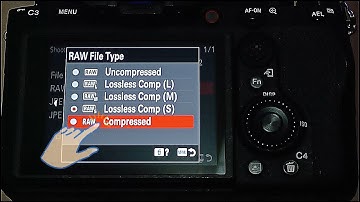 SONY a1, Setup -- JPEG (Slot 1) -- RAW (Slot 2) - Two Separate Cards