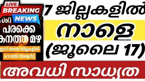 🔴നാളെ ഈ ജില്ലകളിൽ അവധി സാധ്യത🌧️|SCHOOL KERALA HOLIDAY NEWS TOMORROW|KERALA RAIN ALERT|SCHOOL AVADHI