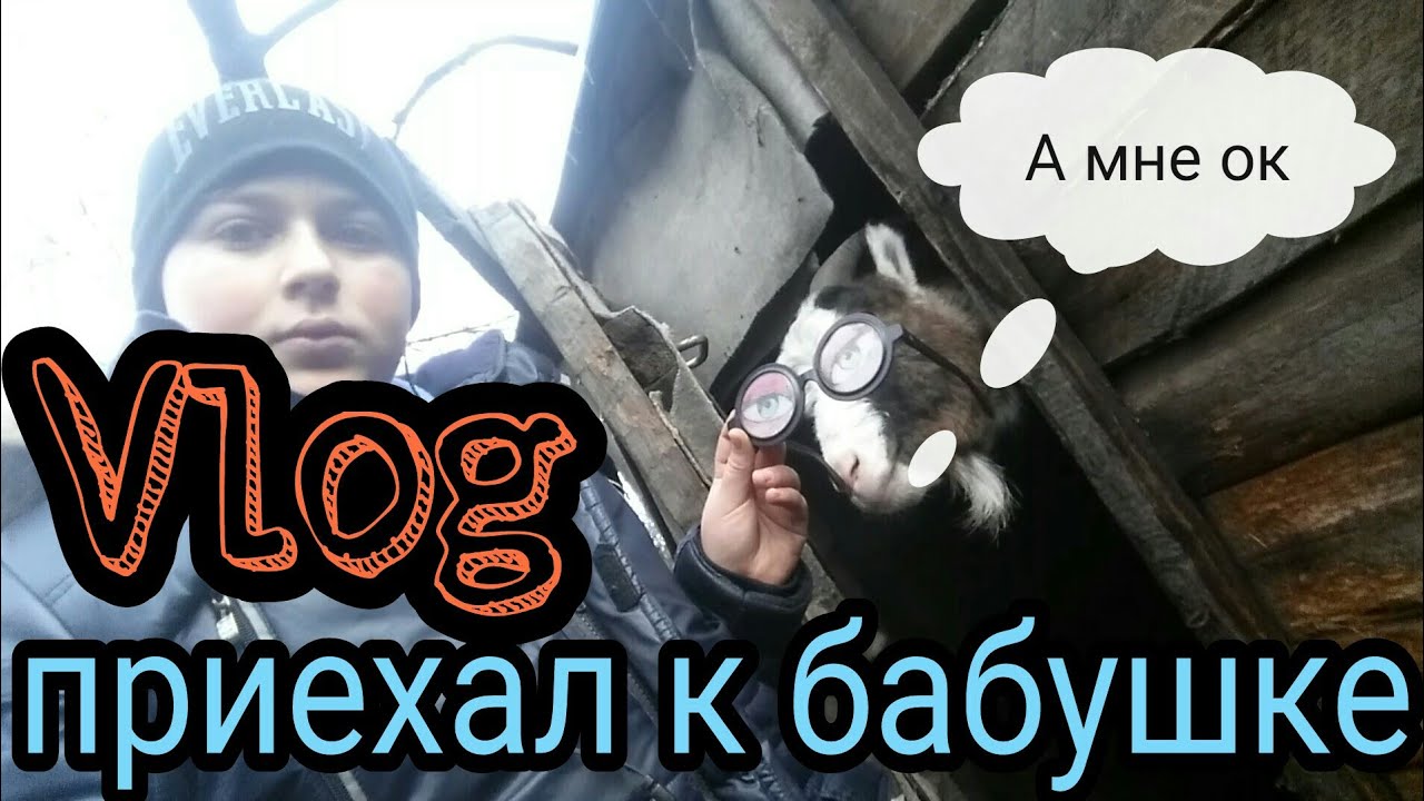 VLOG ПРИЕХАЛ В ДЕРЕВНЮ К БАБУШКЕ! ЧУТЬ НЕ... - YouTube