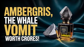 Ambergris Explained Whale Vomit Worth Crores  Uses Facts U0026 Legal Mystery
