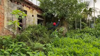 Amazingly transform overgrown garden and clean up abandoned house