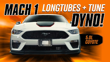 2021 Mach 1 Mustang Dyno | Do long tube headers & custom tune make power?