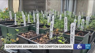 Adventure Arkansas: The Compton Gardens