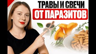 Антипаразитарная программа «Новая жизнь» – эффективное лечение паразитов | Виктория Орлинская