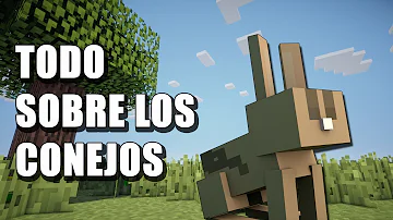 ¿Cuál es el conejo más raro de Minecraft?