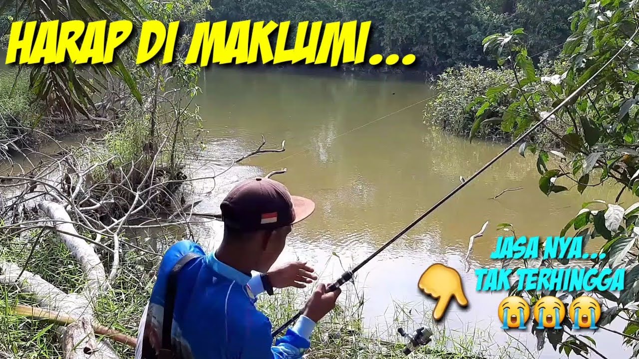 GABUS KECIL MATAHKAN REEL || MANCING GABUS DANAU || CASTING SNAKEHEAD