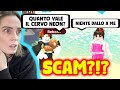 Entro nel mio server con un FAKE e provano a SCAMMARMI?!?