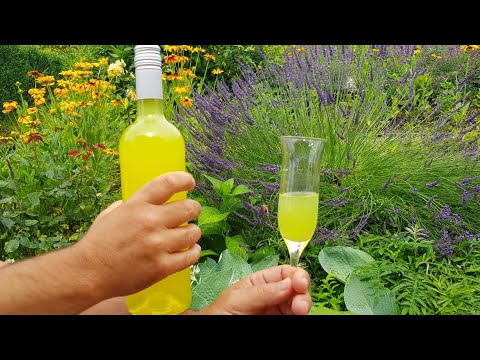 Wideo: Likier Cytrynowy "Limoncello"