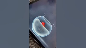 Falling fish - Tutorial on the channel #procreate #fish #tutorial #animation #shorts  #howtoanimate