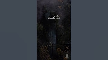 الشيخ ياسر الدوسري من سورة النساء