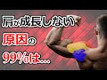 【肩トレ】科学的な三角筋の鍛え方