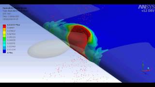 birstrike wing analysis in ANSYS