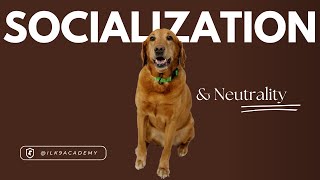 Socialization & Neutrality (Passive vs Active)