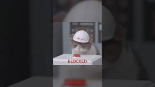 В MAX'е блокируют чаты, где люди слишком яро обсуждают дефицит топлива в РФ!