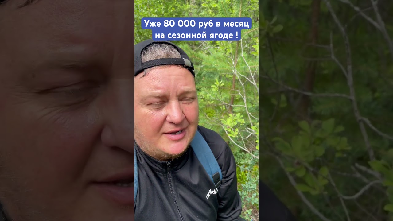 После сезонного отхода первой ягоды начинают рости грибы с не меньшей денежной рентабельностью 