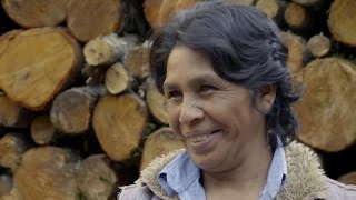 Protecting Forests in Mexico Reaps Rewards