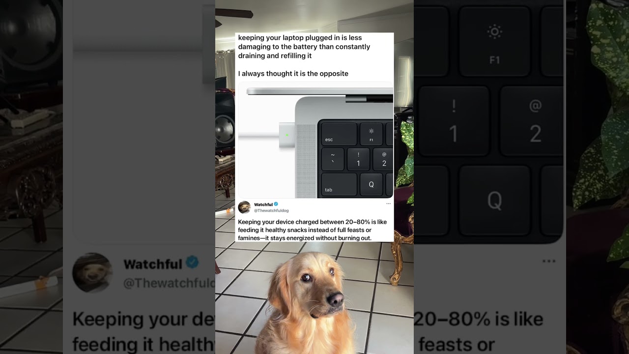 Keeping it charging is more sustainable