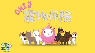 寵物保險怎麼買【UNI醬談保險】
