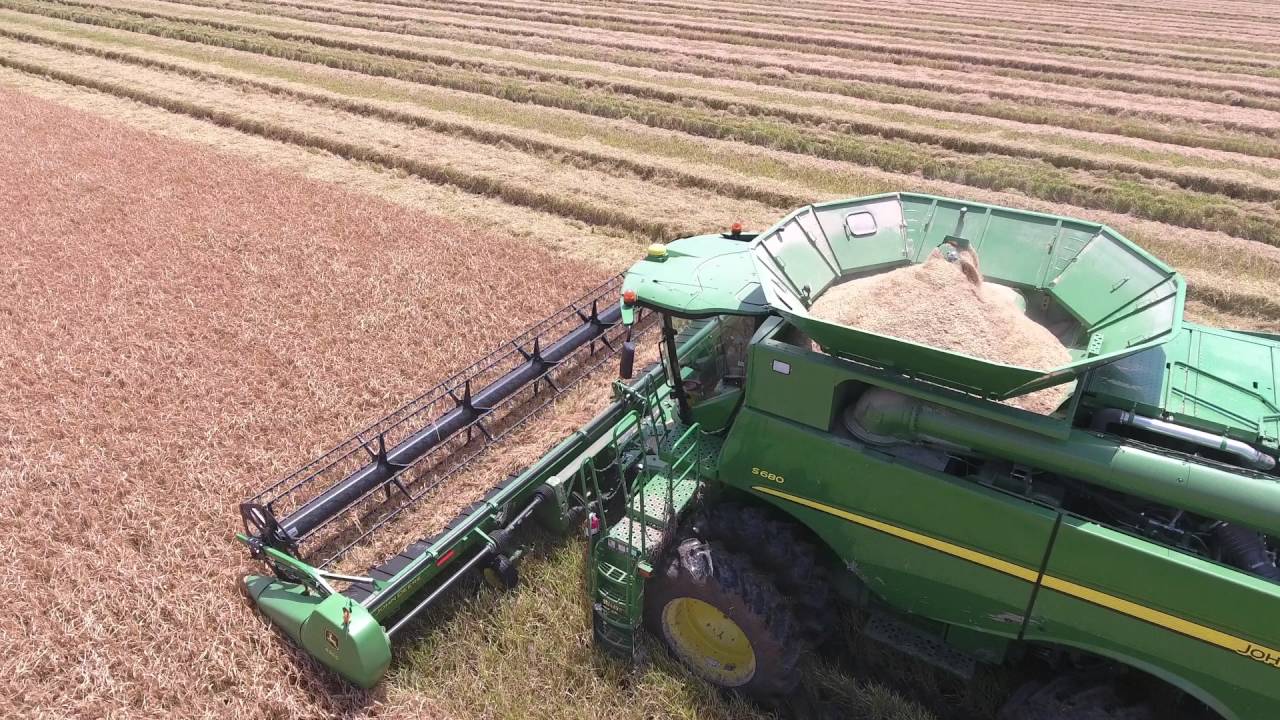 From Riceland Farms: Harvest 2016 with the Petter Brothers