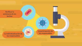 M5 2 Investigacion Sumaria