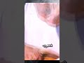 لا تهجري بشار السرحان لا تهجري بشار السرحان