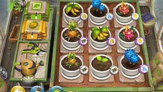 Harvesting 9 fruits - Cooking fever screenshot 4