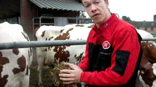 Dry cow feeding and housing in a nutshell.avi