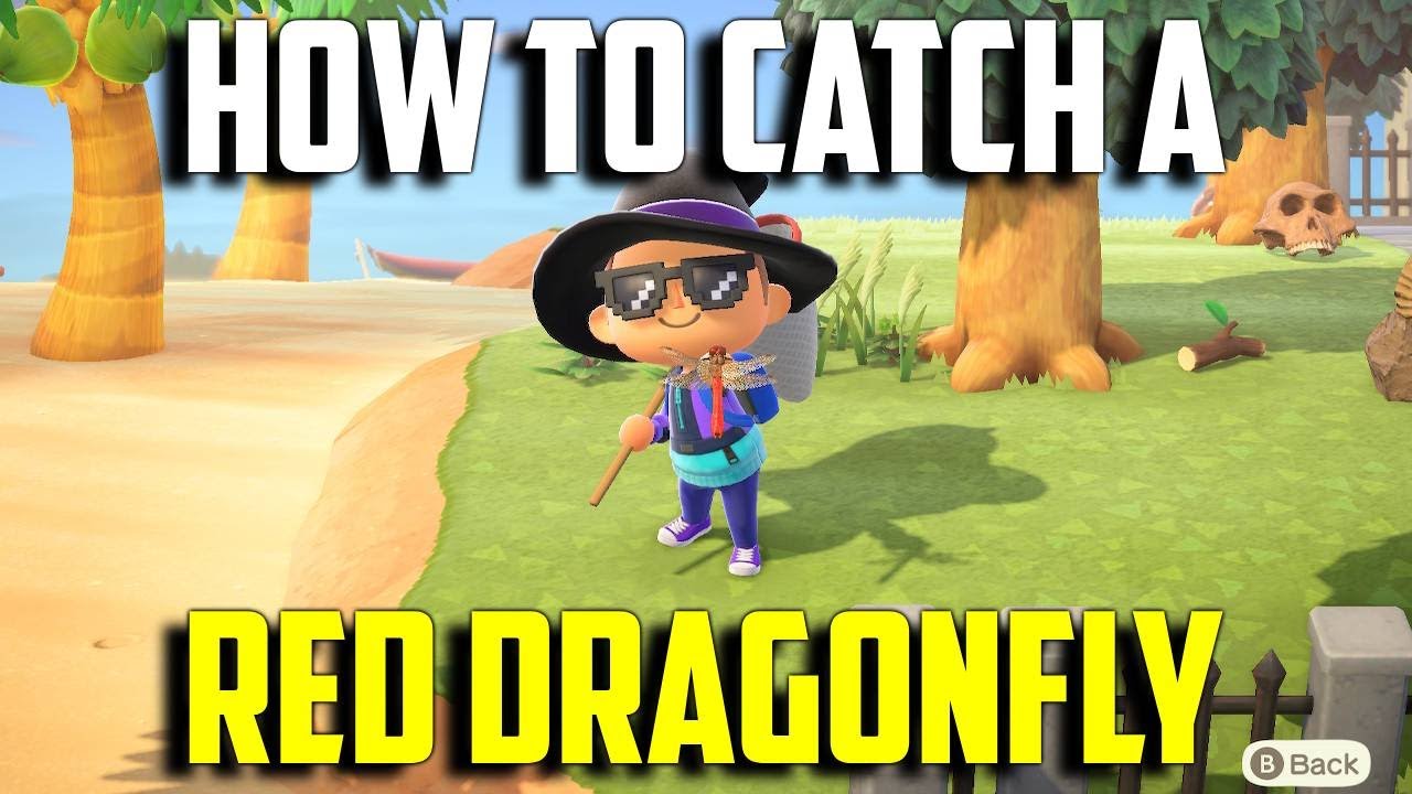 How to Catch a Red Dragonfly Red Dragonfly ACNH ACNH Red Dragonfly