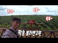 #71 팍송 볼라벤고원 둘러보기 (팍송 하이랜드, 땃느앙 폭포) Paksong LAOS