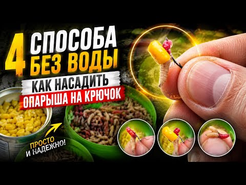 4 Ways With No Fluff! How to Properly Hook a Maggot