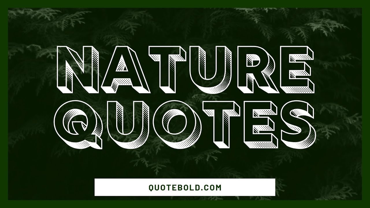 15 Quotes About Nature and Life