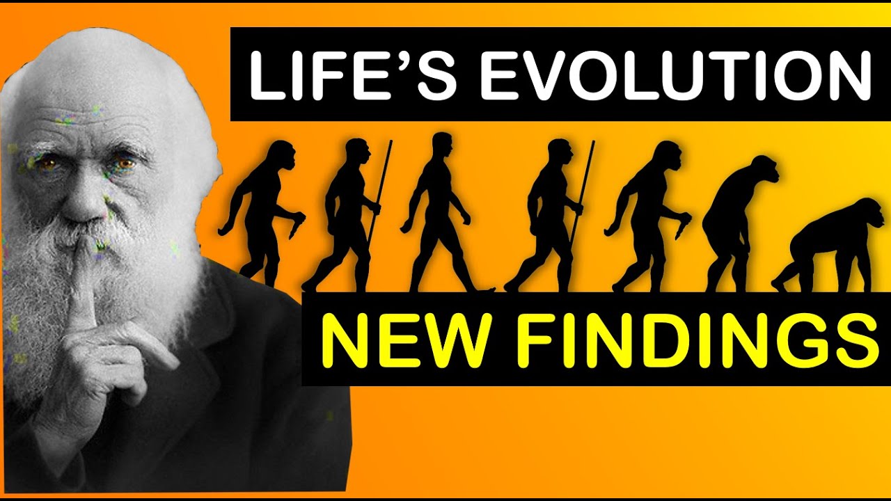 New Insight into possible origins of life | RNA | Molecule | Darwin Evolution | 