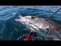 pesca a  29 m de gran dentón y serviola por Jose Antonio Menacho del equipo Fusiles Orca y Tecnoblu