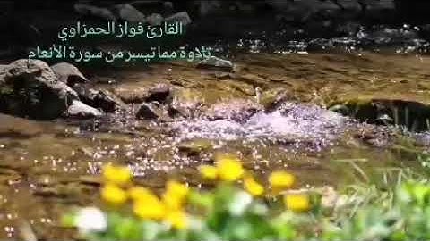 تلاوة خاشعة مما تيسر لسورة الأنعام للقارئ الشيخ فواز الحمزاوي