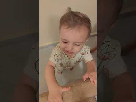 الصوص المدمر معصب تالاونايا      