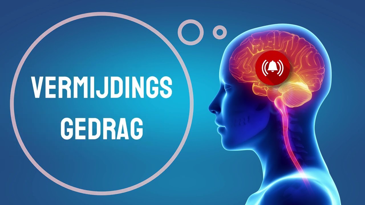 Paniekstoornis - Uitleg Diagnose en Behandeling