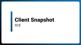 Client Snapshot - SCE | PUG 2024