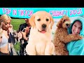 Top 10 Cute TikTok CELEBRITIES&#39; DOGS and PUPPIES