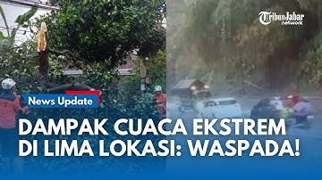 Peringatan ke Warga! Siaga Peristiwa di Sumedang Pasca Hujan Deras Buat Pohon Tumbang di 5 Tempat