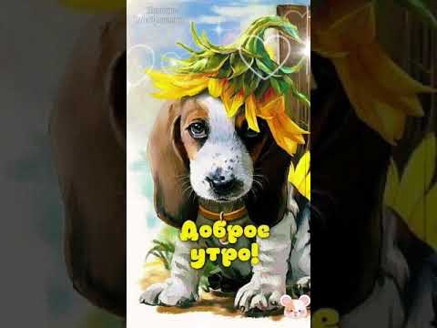 С добрым утром! Позитивчик с утра! Для друзей! #shorts