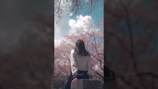 Sakurako Ohara - Hirari #大原櫻子 #ひらり #桜の花 #桜 #さくら #桜の季節 #桜月