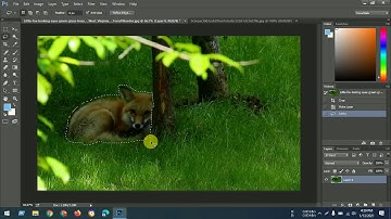 How To Quickly Remove Any Unwanted People or Objects. Photoshop Tutorial Bangla 2021. Part 3
