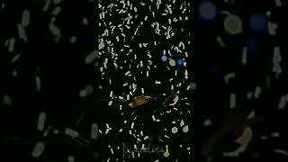 Happy 10th Anniversary To Our Boysbts Anniversary Status My Universe Bts Statusbts Anniversary