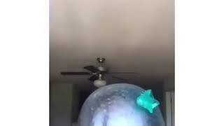 This Is How I Got It On My Head
